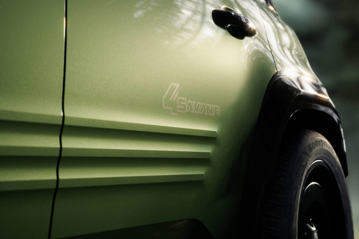 Renault 4 Savane (2)