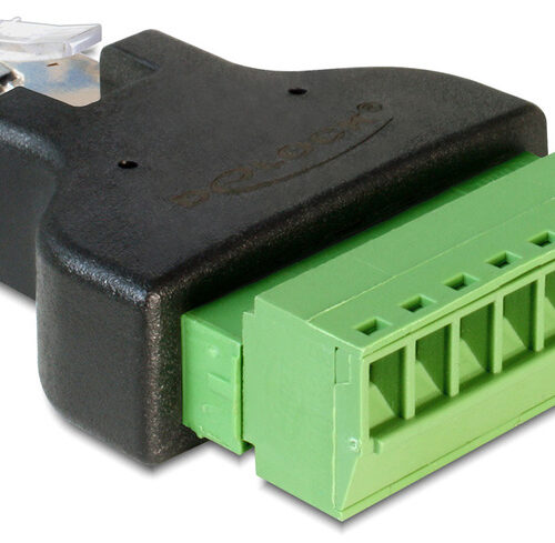 Delock Adapter Terminalblock > RJ45 Stecker