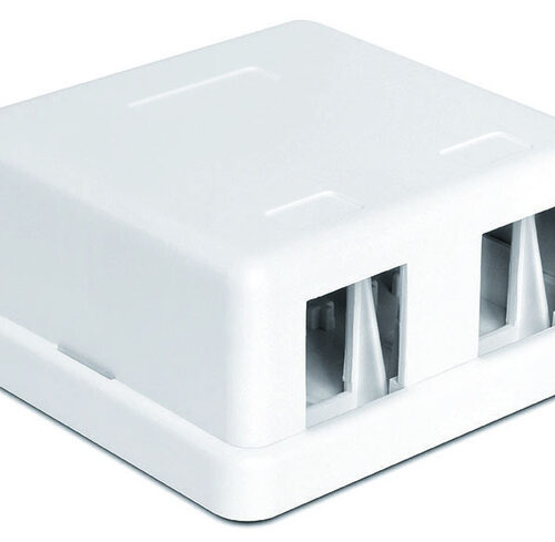 Delock Keystone Leergehäuse, 2 Port