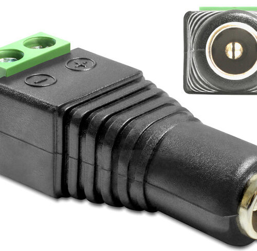 Delock Adapter Terminalblock > DC 2,5 x 5,5 mm Buchse