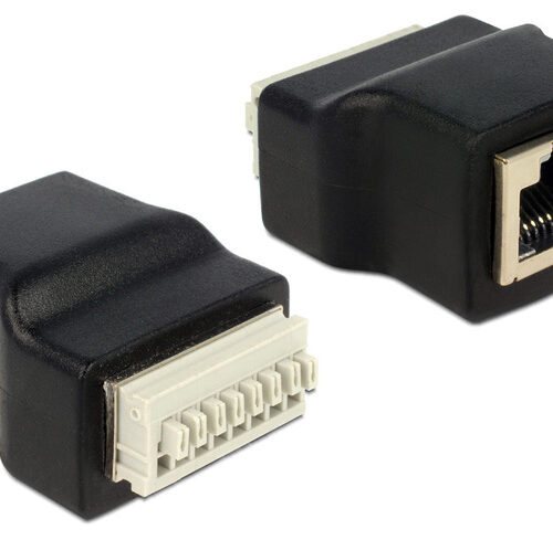 Delock Adapter Terminalblock mit Drucktaste > RJ45 Buchse