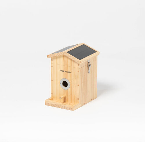 Camouflage EZ-NestEye Nistkasten / Vogelkamera, KI