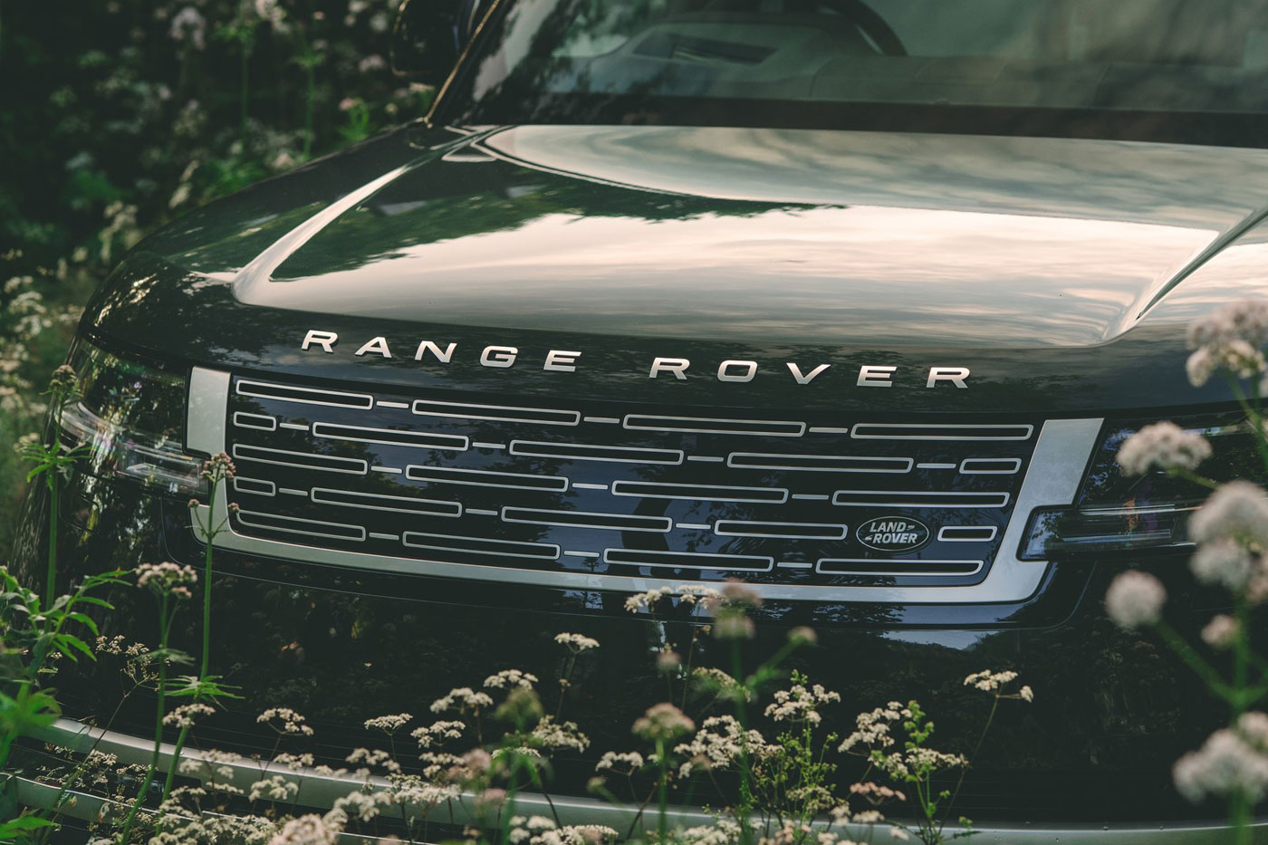 Rane Rover Electric 2026 (13)