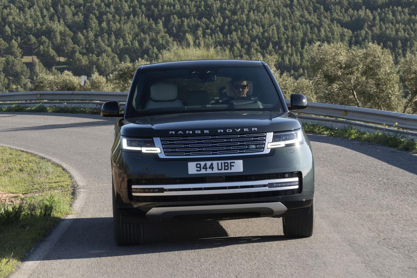 Rane Rover Electric 2026 (14)