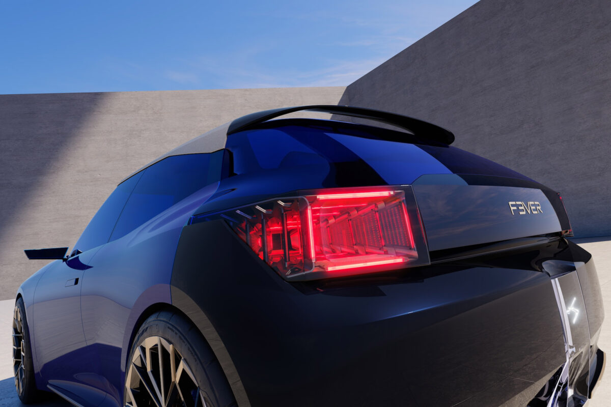 DS F3VER (13)