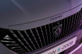 Peugeot-e2008-(9)